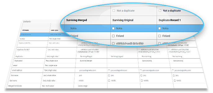 dedupe data record fix ours merging immediately deciding surviving criteria problem process based