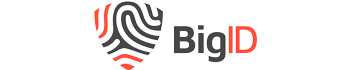 BigID BigID