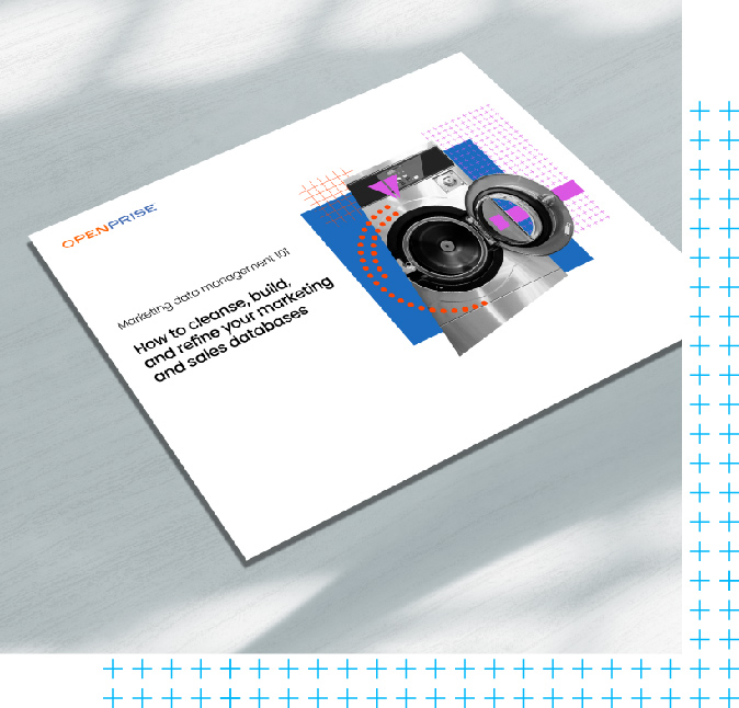 Data cleansing ebook