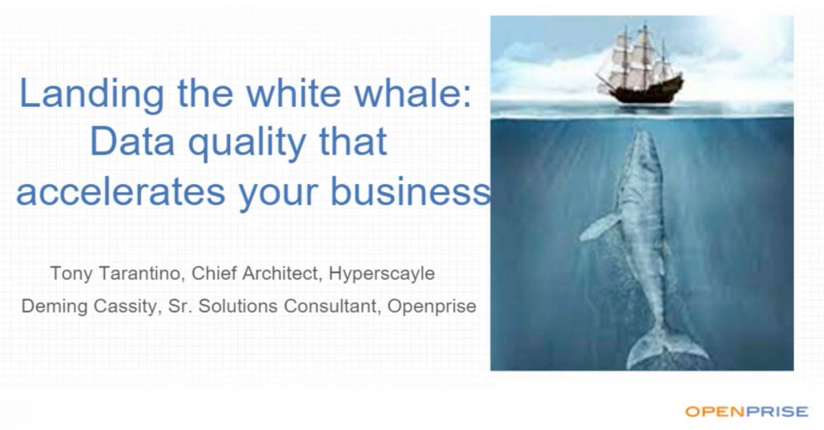 Landing the white whale: data quality that accelerates your business